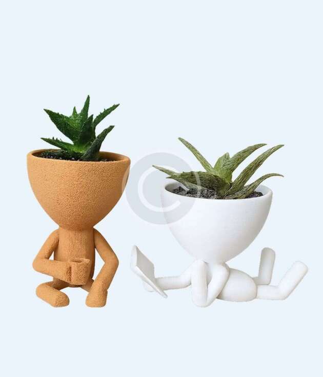 Playful character plant pots - Set of 2